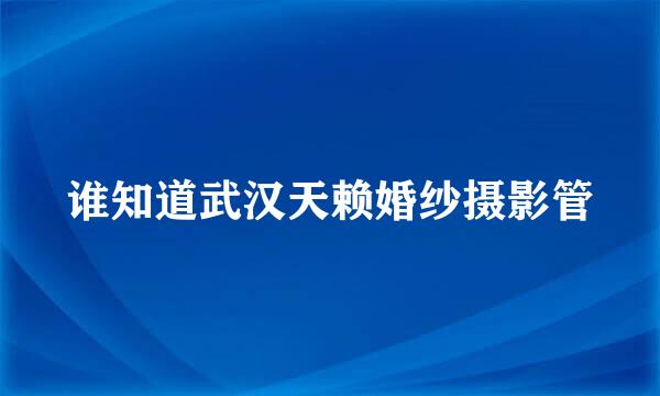 谁知道武汉天赖婚纱摄影管