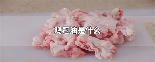 鸡冠油是什么
