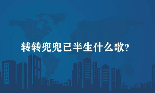 转转兜兜已半生什么歌？