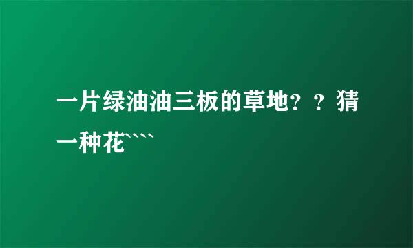 一片绿油油三板的草地？？猜一种花````