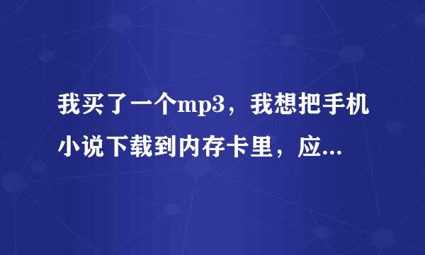 我买了一个mp3，我想把手机小说下载到内存卡里，应该怎么下。