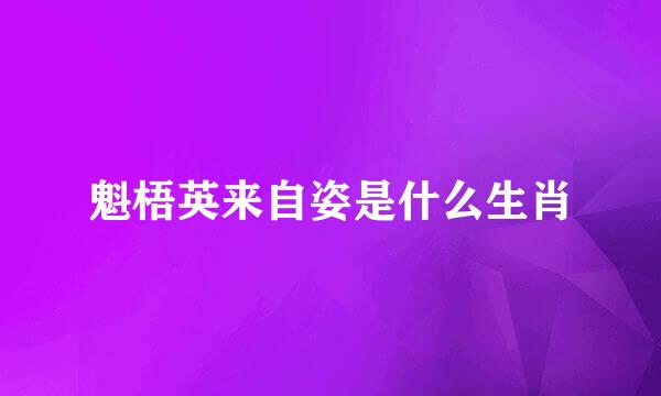魁梧英来自姿是什么生肖