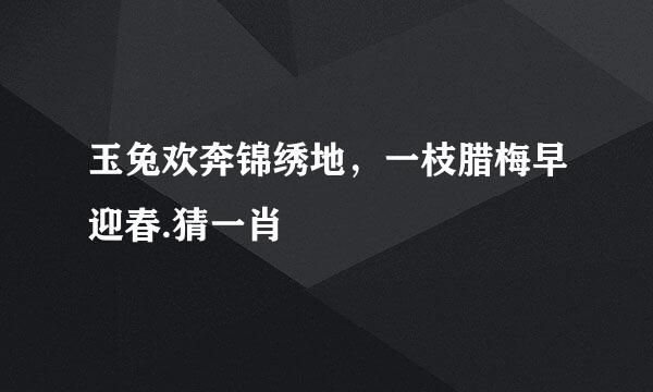 玉兔欢奔锦绣地，一枝腊梅早迎春.猜一肖
