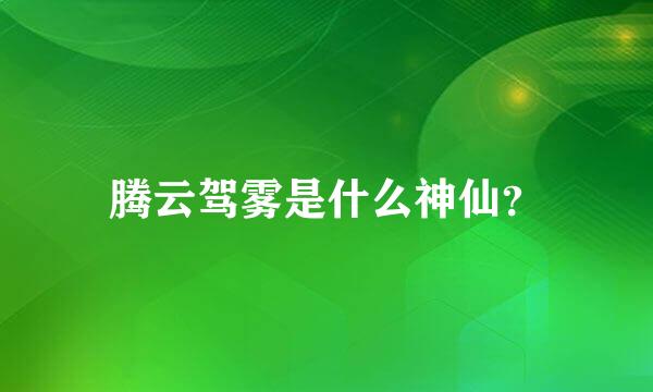 腾云驾雾是什么神仙？