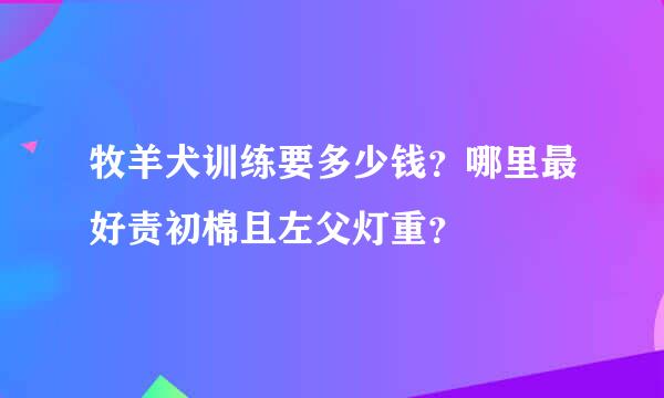 牧羊犬训练要多少钱？哪里最好责初棉且左父灯重？
