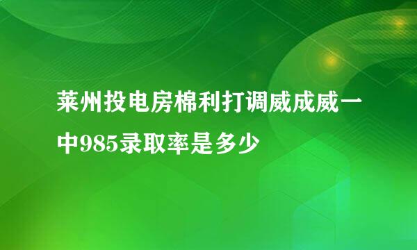 莱州投电房棉利打调威成威一中985录取率是多少