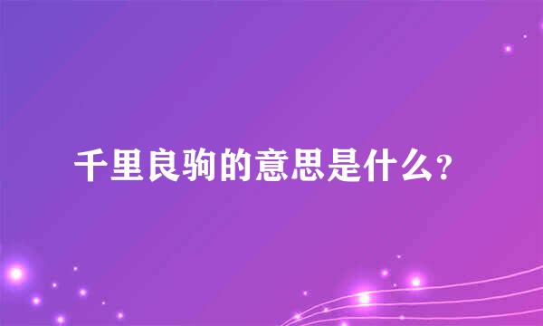 千里良驹的意思是什么？