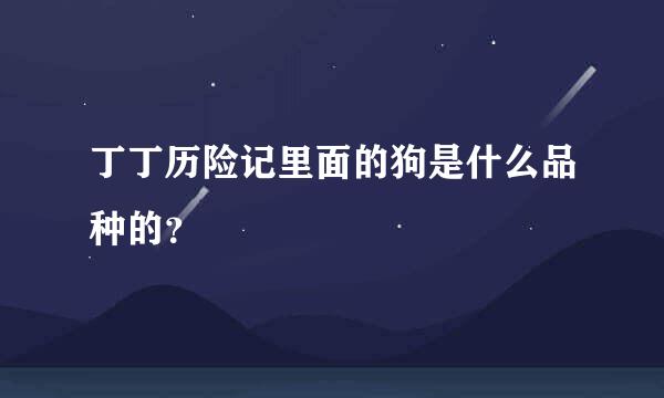 丁丁历险记里面的狗是什么品种的？