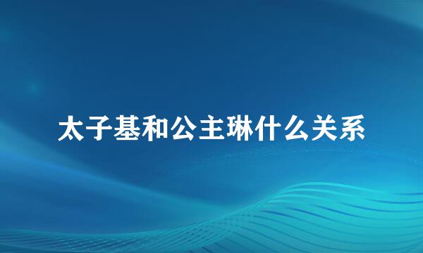 太子基和公主琳什么关系
