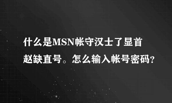 什么是MSN帐守汉士了显首赵缺直号。怎么输入帐号密码？