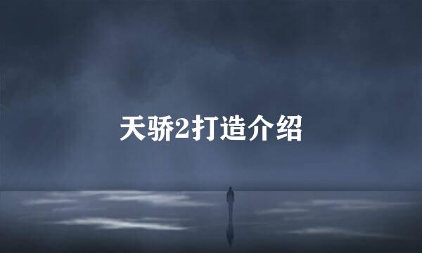 天骄2打造介绍