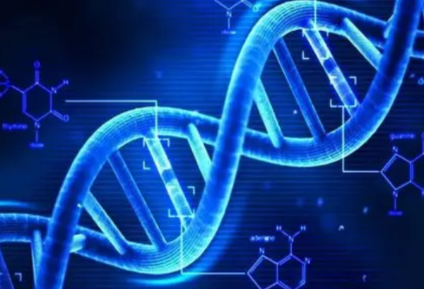 dna复制时方向是怎样的？