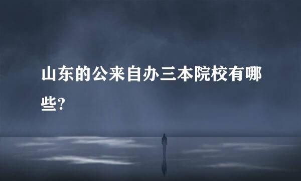 山东的公来自办三本院校有哪些?
