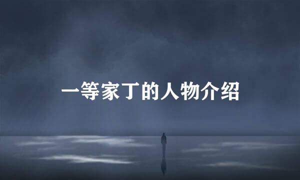一等家丁的人物介绍