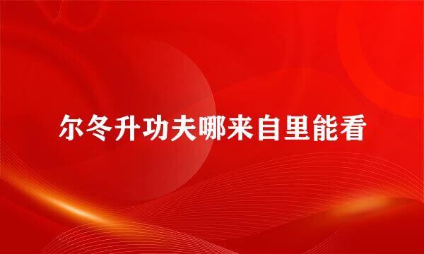 尔冬升功夫哪来自里能看