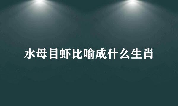 水母目虾比喻成什么生肖
