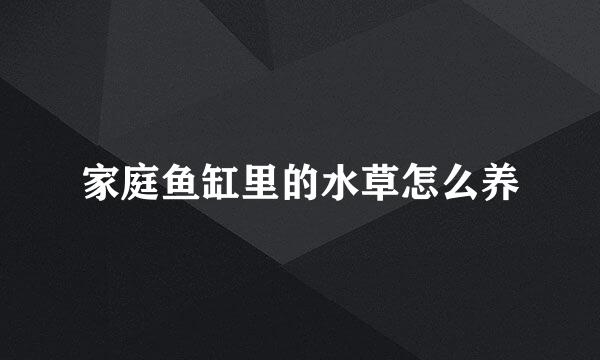 家庭鱼缸里的水草怎么养