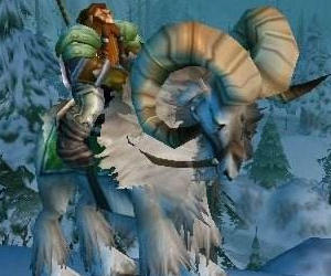 魔兽世界BL60级飞行坐骑和陆行坐骑在哪买？
