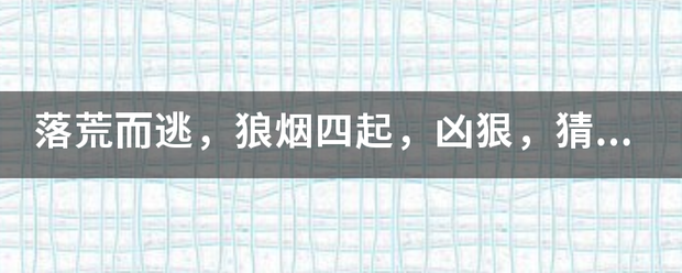 落荒而逃，狼烟四起，凶狠，猜一生肖