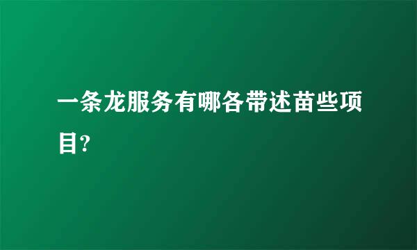 一条龙服务有哪各带述苗些项目?