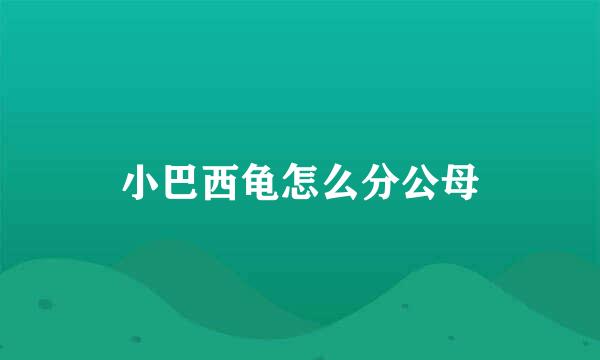 小巴西龟怎么分公母