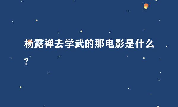 杨露禅去学武的那电影是什么?