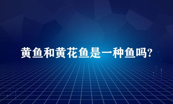 黄鱼和黄花鱼是一种鱼吗?