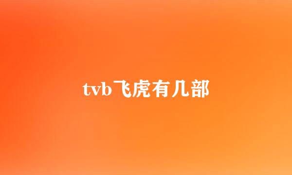 tvb飞虎有几部