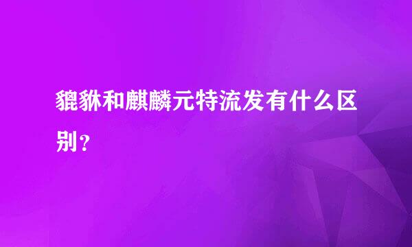 貔貅和麒麟元特流发有什么区别？