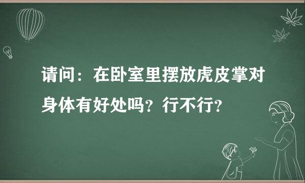 请问：在卧室里摆放虎皮掌对身体有好处吗？行不行？
