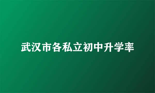 武汉市各私立初中升学率