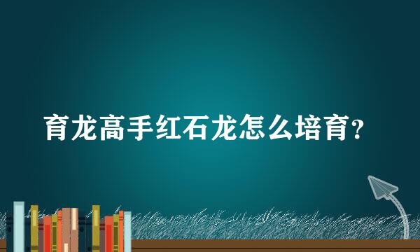 育龙高手红石龙怎么培育？