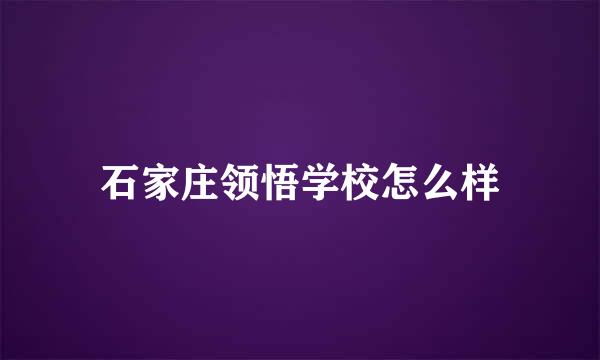 石家庄领悟学校怎么样