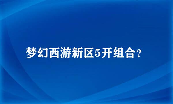 梦幻西游新区5开组合？