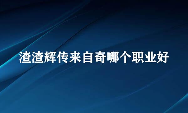 渣渣辉传来自奇哪个职业好