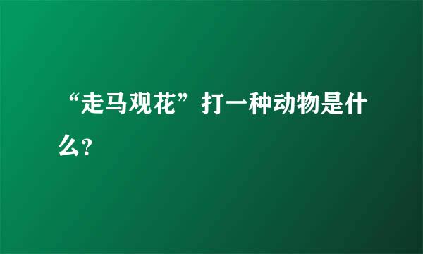 “走马观花”打一种动物是什么？
