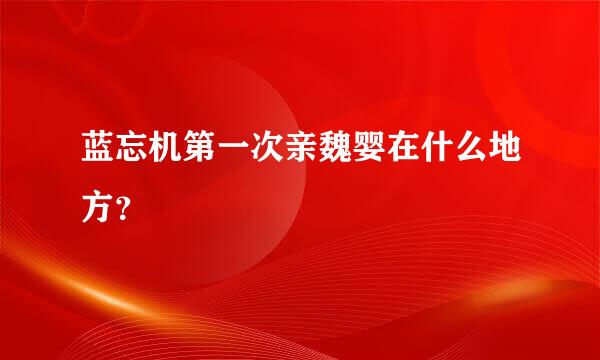 蓝忘机第一次亲魏婴在什么地方？