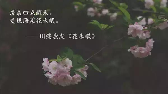 凌晨四来自点海棠花未眠什么意思？