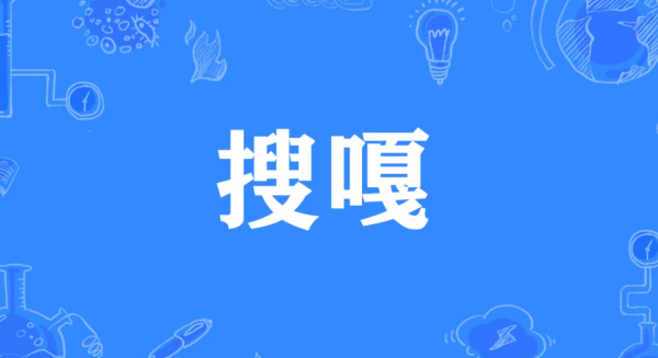 搜嘎是什么意思网络用语