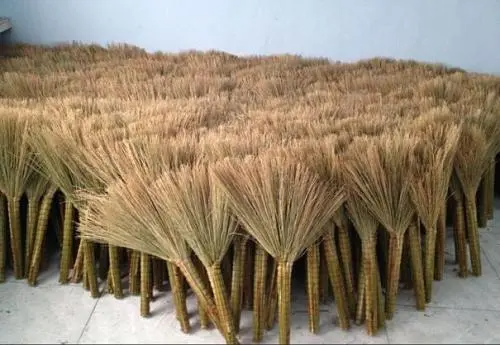 笤帚扫帚读音是什么?
