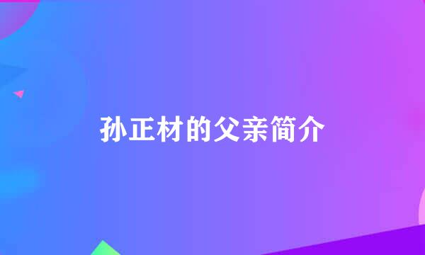 孙正材的父亲简介
