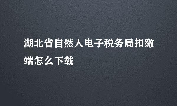 湖北省自然人电子税务局扣缴端怎么下载