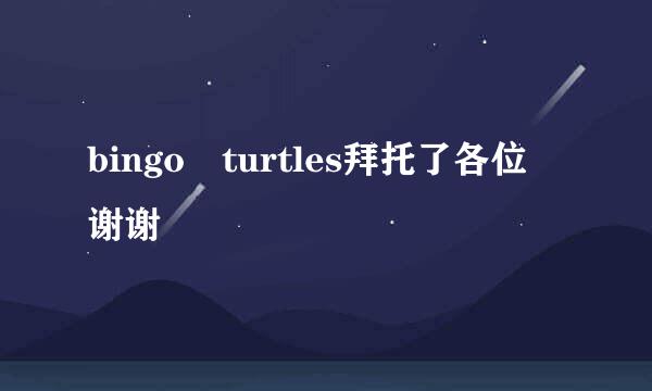 bingo turtles拜托了各位 谢谢