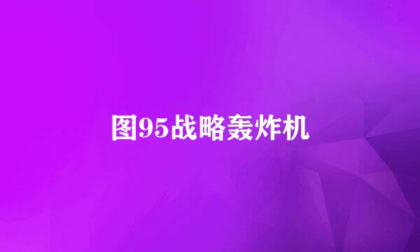 图95战略轰炸机