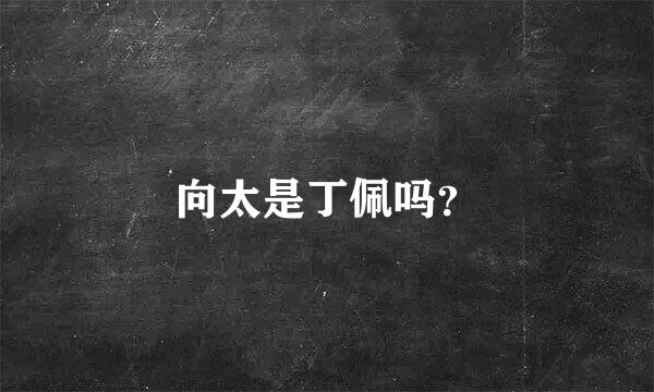 向太是丁佩吗？