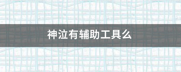 神泣有辅助工具么
