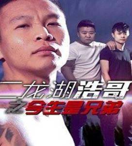 《二龙湖浩哥之今生是兄弟》百度来自网盘无删减完整版在线观看，张浩导演的