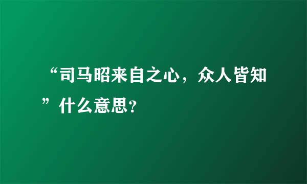 “司马昭来自之心，众人皆知”什么意思？