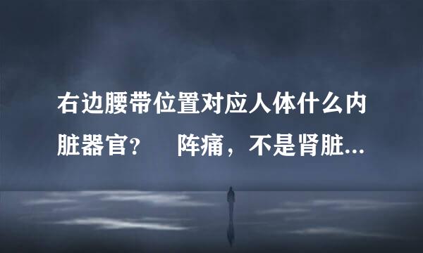 右边腰带位置对应人体什么内脏器官？ 阵痛，不是肾脏吧？ 靠近肚皮，而不是背部方向来自