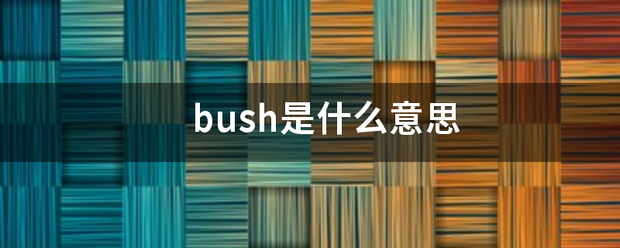 bush是什么意思
